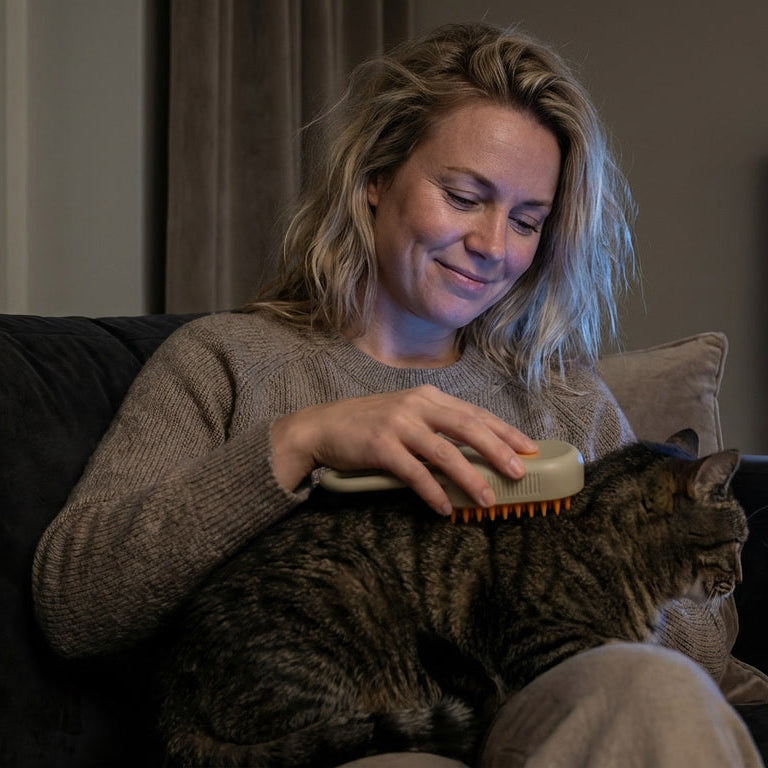 Dlore "Mist" | pälsborste